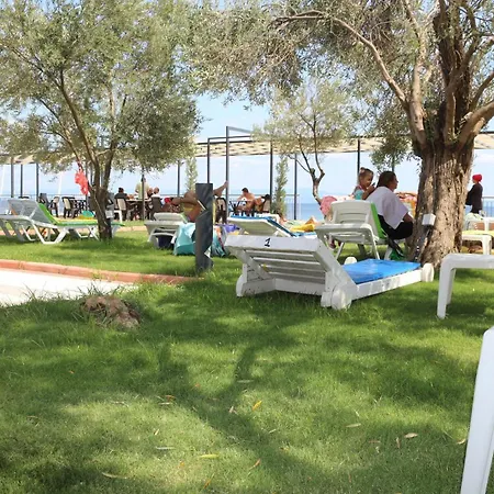 Address Kuecuekkuyu Ayvacik (Canakkale)